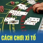 xi to 2 20251115 135540 2